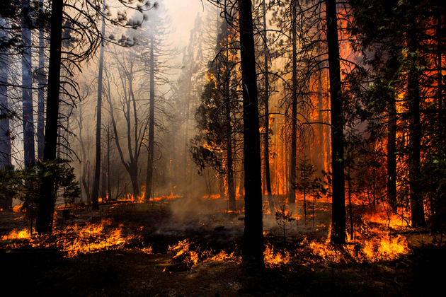 Ингушетия получила новую технику для тушения лесных пожаров