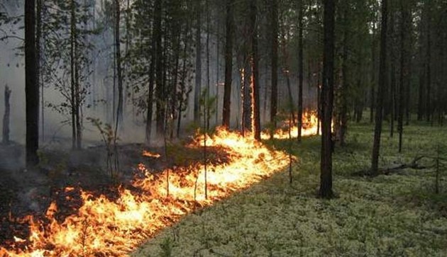 На границе России и Казахстана будут бушевать природные пожары