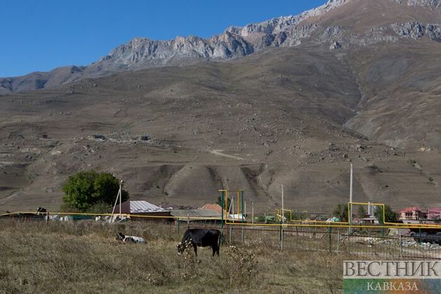 Битаров: в Северной Осетии должны появиться условия для развития бизнеса в горах