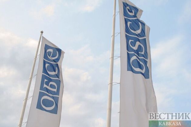 Генсек ОБСЕ намерена посетить Россию в ближайшие месяцы