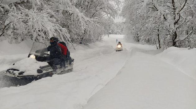 Снегопад завалил Озургети и Ланчхути