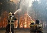 Лесные пожары: как спастись и как тушить?