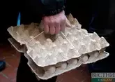 Азербайджан привез в Россию свыше 25 млн штук яиц