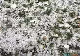 Ставрополье накроет снегопадом