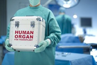 Южная Корея даст импульс развитию трансплантологии в Грузии