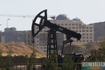 Саудовская Аравия добровольно сокращает нефтедобычу