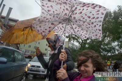 В пятницу в Москве и Подмосковье ожидается порывистый ветер