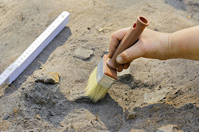 СМИ: археологи нашли в Костанайской области захоронение эпохи бронзы 