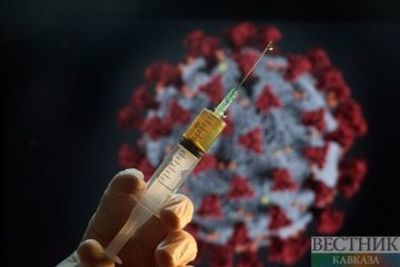 Российскую вакцину &quot;Спутник V&quot; могут начать производить в Алжире