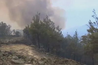 Казахстан заволокло дымом от лесных пожаров в Якутии