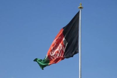 Афганцы, приехавшие в Россию на Евро-2020, боятся возвращаться домой
