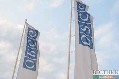 Россия не будет участвовать в спецзаседании ОБСЕ