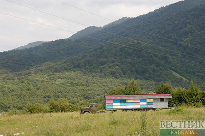 В Пятигорске впервые за 30 лет чистят гору Машук