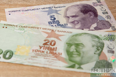 Центробанк Турции снизил ключевую ставку до 10,5%