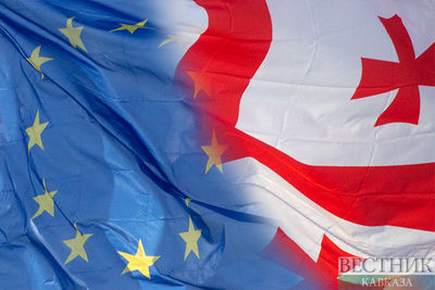 Австрия готова помочь Грузии с получением статуса кандидата в ЕС