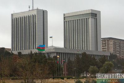 Парламент Азербайджана ратифицировал оборонное соглашение с Грузией