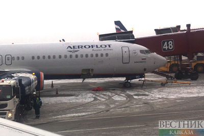 Самолет из Москвы в Минводы задержался из-за поломки