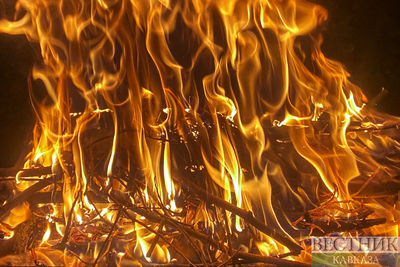 Пожар в Цейском ущелье локализован на 7 га