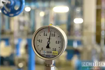 Добыча газа в Казахстане за год составит 60 млрд кубометров